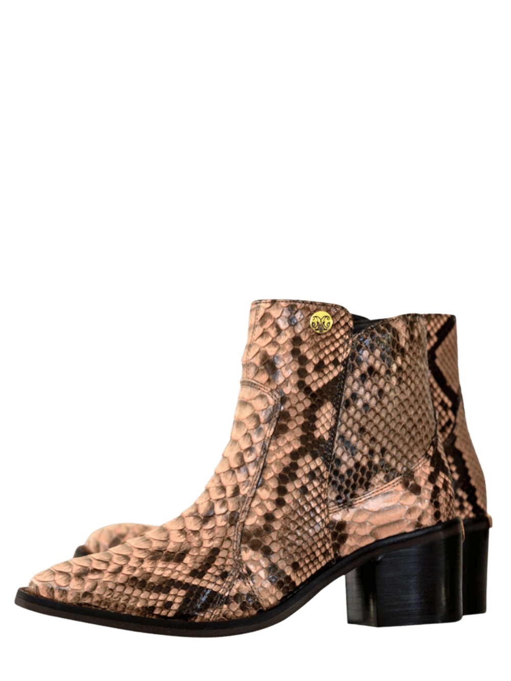 Amazonas Python Boot