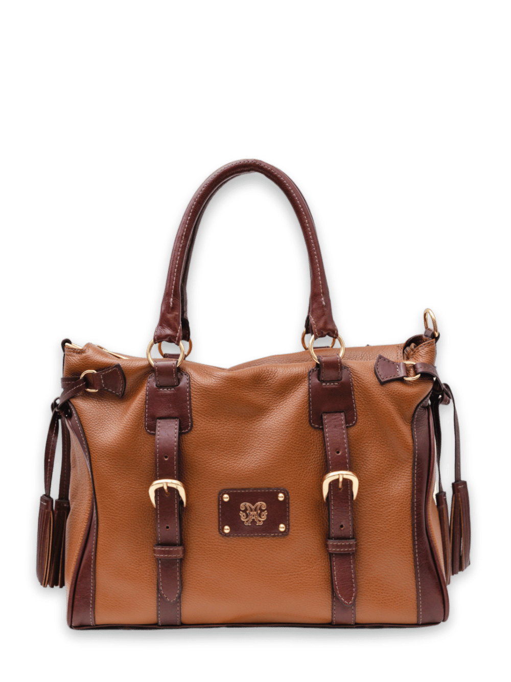 Selvaggio Leather Bag