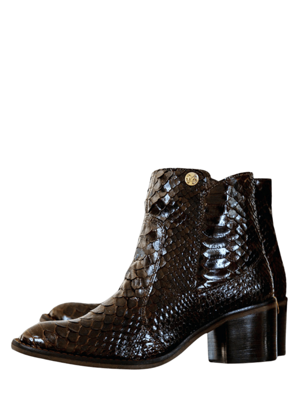 Amazonas Python Boot