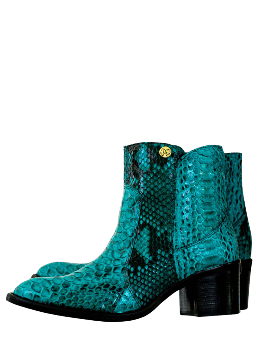 Amazonas Python Boot