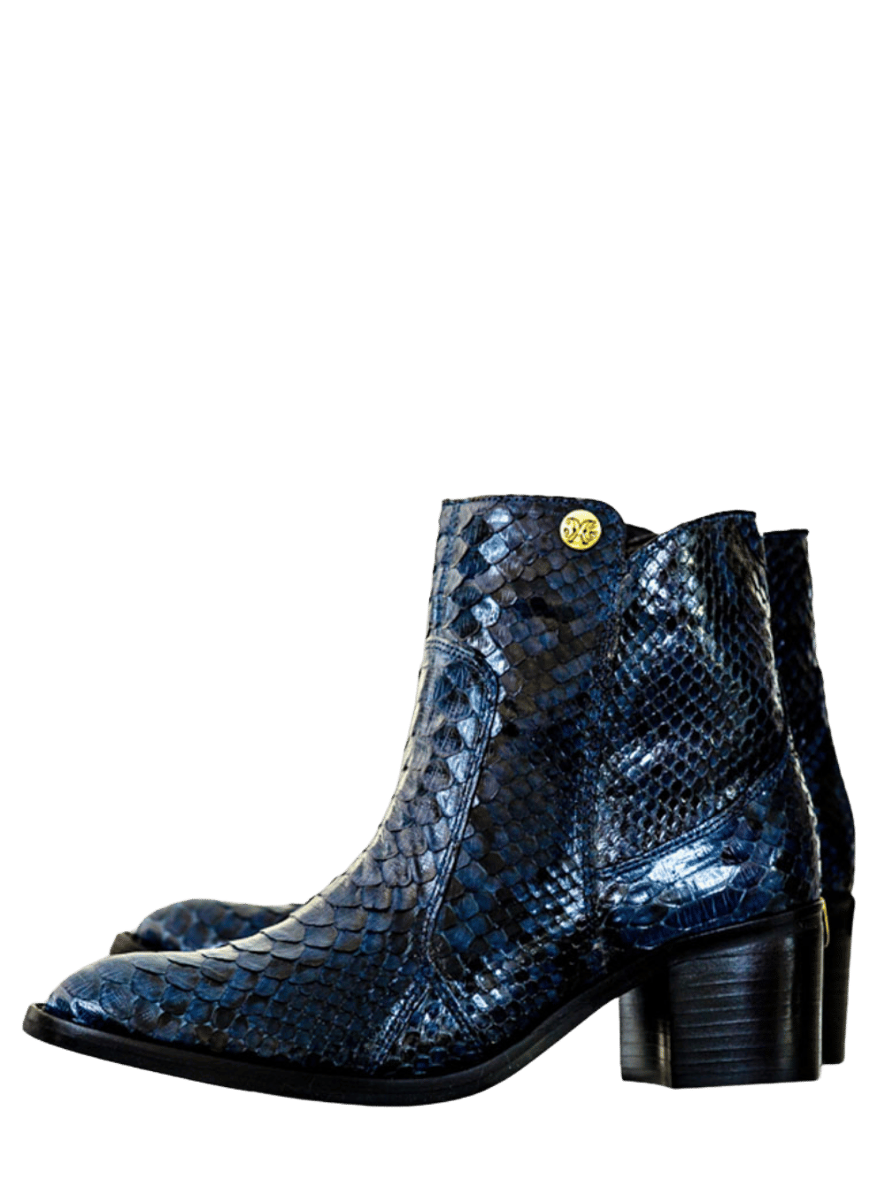 Amazonas Python Boot