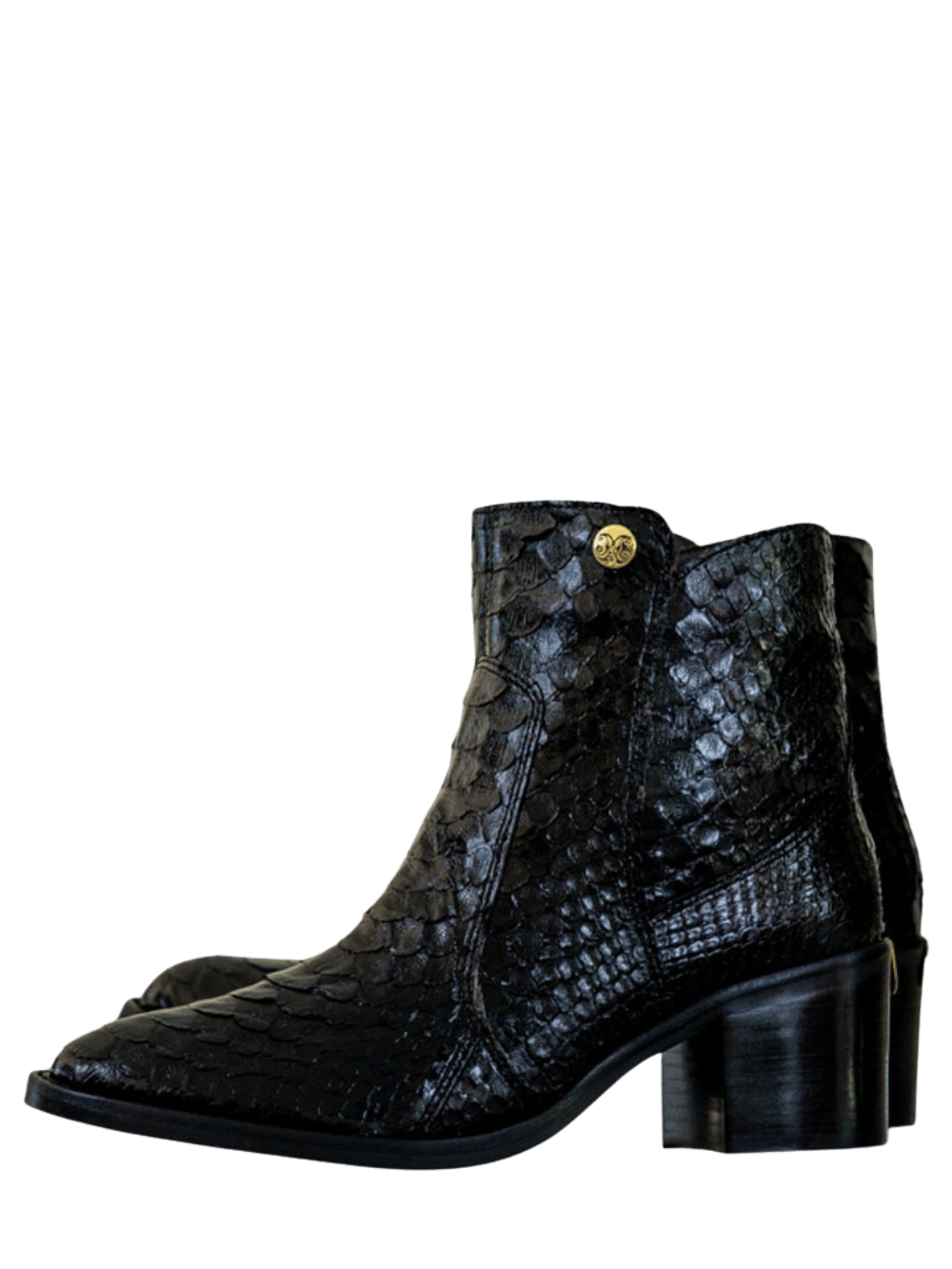 Amazonas Python Boot